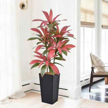 Imagem de Árvore Dracaena artificial de 1,5 m – Árvore Dracaena sintética de 152 cm com vaso preto, tronco realista e folhagens vermelhas realistas, planta tropical alta em vaso para casa, escritório, sala de
