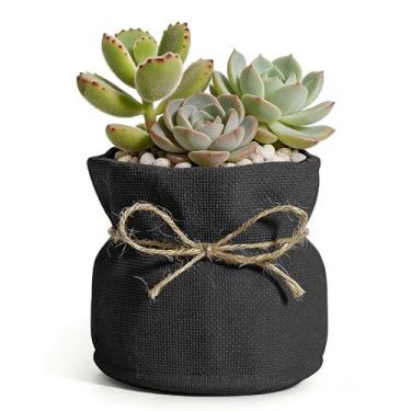 Imagem de Plantadores de decoração de outono para plantas de interior, vasos de flores grandes, vasos de suculentas de interior com entrada de drenagem, decoração de casa, decoração de casa exclusiva (preto)