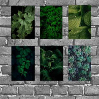 Imagem de Kit 6 Placas Decorativas Folhas Verdes 18x27cm