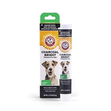 Imagem de Arm & Hammer Pasta de dentes carvão brilhante para cães, carvão | Seguro para animais de estimação, pasta de dente natural e aromatizador de hálito com carvão e enzimas | 70 g de pasta de limpeza de dentes caninos para braço e martelo