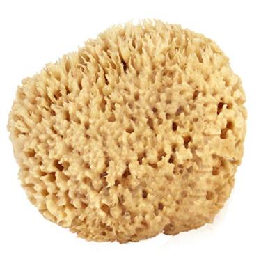 Imagem de Esponja de lã do mar 10-12,7 cm (médio) da Bath & Shower Express Ã'® Recurso natural renovável!