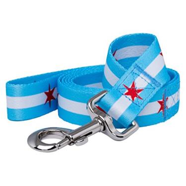 Imagem de Coleira para cães com bandeira de Chicago Native Pup - Big Stars (1 pol.)