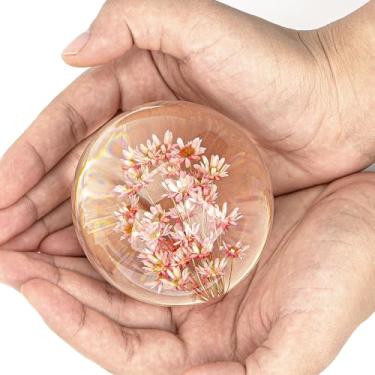 Imagem de CAIRIAC Bola de resina de margarida vermelha cristal, bola de amostra de peso de papel real, decoração de escritório em casa, globo de margarida de resina para aniversário, Natal, aniversário