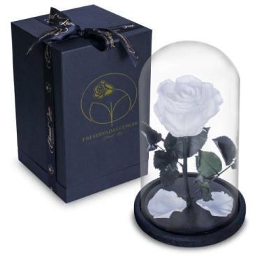 Imagem de Rosa Encantada Rosa Eterna na Cúpula de Vidro + Caixa Luxo - Noiva Nov