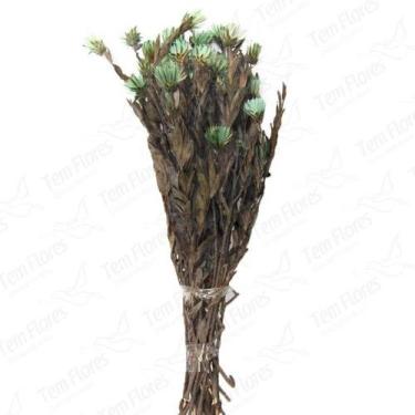 Imagem de Arapurama Verde Desidratado Buque Flores Secas - Tem Flores