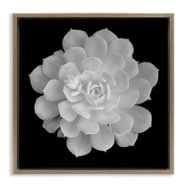 Imagem de Stupell Industries Arte de parede em tela flutuante preta com contraste suculento branco puro, design de Phillip Flowers, 45,7 x 45,7 cm
