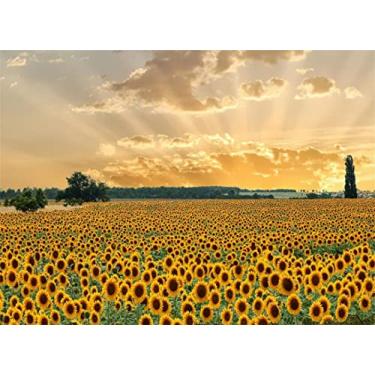 Quebra-cabeça 2000 Peças Paisagem Especial - Chalé na Floresta Grow - Quebra  Cabeça - Magazine Luiza