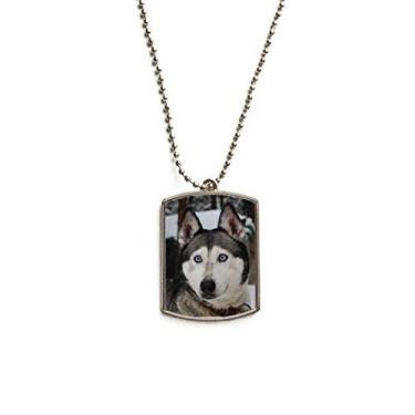 Imagem de DIYthinker Colar com pingente de coleira de aço inoxidável para fotografia Husky Dog Animal Snow