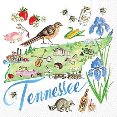 Imagem de Boston International IHR State Collection Guardanapos de papel para coquetéis com 3 camadas, 12,7 x 12,7 cm, Tennessee