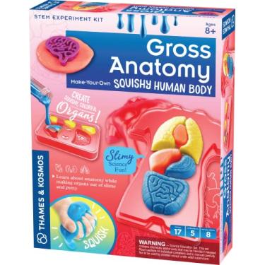 Imagem de Thames & Kosmos Gross Anatomy: Make-Your-Own Squishy Human Body STEM Experiment Kit | Make Colorful Models of Human Organs with Slime & Putty | Fun, Tactile Intro to Human Anatomy | 5 Cool Activities