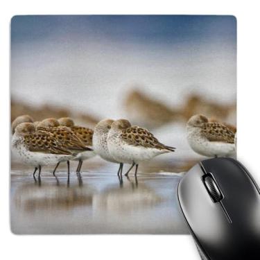 Imagem de 3dRose Mouse pad WA, Bottle Beach, Grays Harbor, Western Sandpiper Birds, 20 x 20 cm (mp_95654_1)