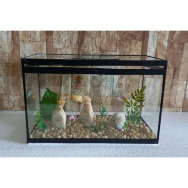 Imagem de Aquário Beteira Retangular Decorada 8 Litros até a borda Peixe Betta -