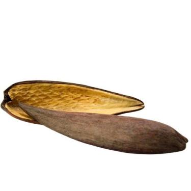 Imagem de Semente Canoinha Natural p/ Decoração - Pense Flores