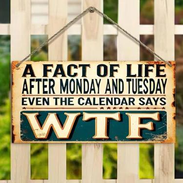 Imagem de Placa suspensa de 10 x 20 cm – Calendário de fato da vida, sinal rústico, decoração de casa de fazenda para cerca, varanda, jardim (casa vintage e design floral)