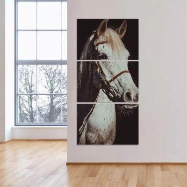 Imagem de Quadro Cavalo Branco Decorativo Vertical Para Sala Corredor