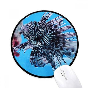 Imagem de Tapete de rato Trapical Fish Marine Organism Ocean Animal Tapete de mesa de escritório Tapete redondo para computador