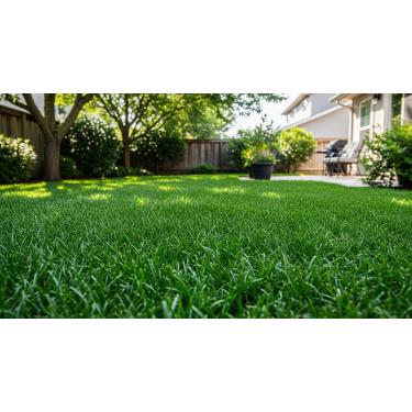 Imagem de Sementes de Grama Bermuda Stadium – 100 g | Cobre até 10 m² – Gramado Rápido e Resistente