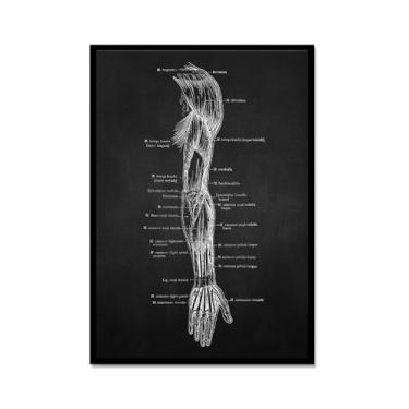 Imagem de Fundo preto anatomia humana arte médica impressões imagens esqueleto músculo pôster vintage educação pintura arte decoração de parede (SKU4,20.3x30.5 cm = (20x30cm), moldura de metal preto)
