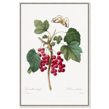 Imagem de Art Remedy Tela de impressões botânicas, 25,4 cm x 38,1 cm, moldura de prata, groselha vermelha da Choix