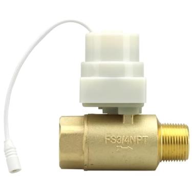Imagem de FloodStop Válvula motorizada detector de vazamento do aquecedor de água, 3/10.2 cm NPT MIP x FIP