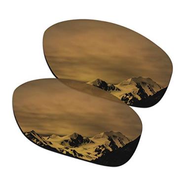 Imagem de SmartVLT Lentes de substituição polarizadas revestidas em bronze e ouro para óculos de sol Oakley Pit Bull OO9127 | Pit Bull Asian Fit(AF) OO9161
