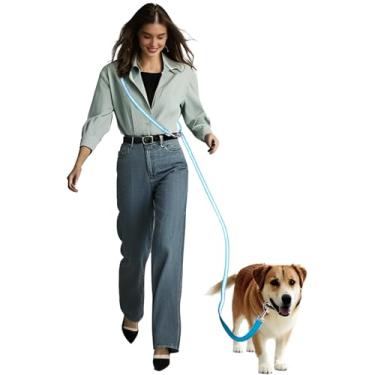 Imagem de AIRUIDOG Coleira de cachorro mãos livres, coleira multifuncional transversal para cães caminhando, trelas reflexivas para cães de corrida para cães de médio e grande porte andar, correr, treinar (azul