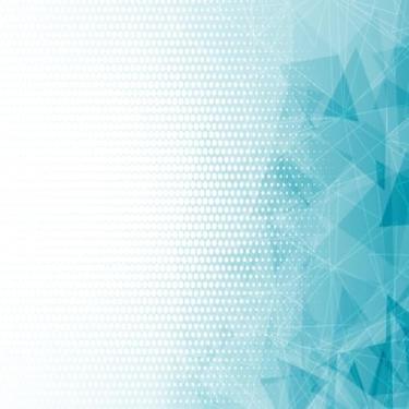 Imagem de Punho Luz Lado Esquerdo Honda Titan Fan 150 125 Ks Laquila