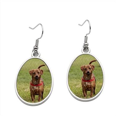 Imagem de Brincos de cachorro Terrier Mix 2 – Brincos com pingente para meninas – Presente de festa de aniversário dos namorados