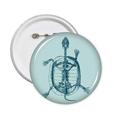 Imagem de Esqueleto Esboço Tartaruga Animal Pinos Redondos Emblema Botão Decoração Acessório 5 peças