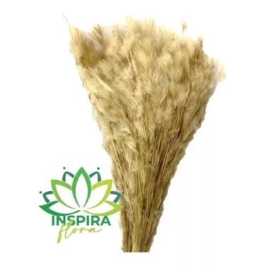 Imagem de Buque Pluma Pampas Grass Luxo Arranjo Elegante Decoração Lar - FLORA F