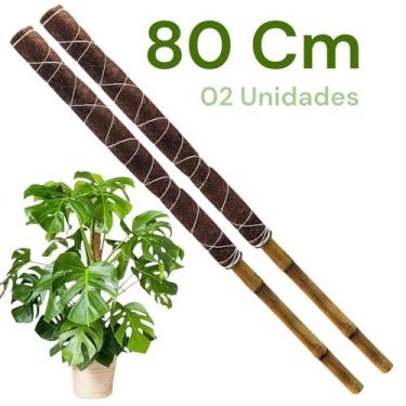 Imagem de Kit 2 Tutor Planta Trepadeira Grande Bambu Fibra de Coco Jiboia Costel