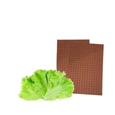 Imagem de Espuma FenóLica Furo para Peletizada Espuma FenóLica para Mudas(15 Placas)