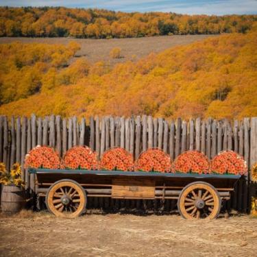 Imagem de PJYHOME 12 peças de flores artificiais resistentes a UV, violeta artificial, decoração ao ar livre, plantas falsas realistas, flores de seda que não desbotam para pátio, cestos pendurados, vasos de