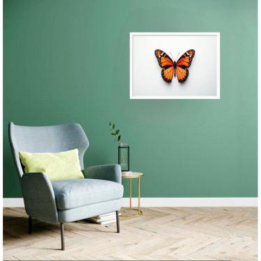 Imagem de Quadro Decorativo Borboleta Laranja - 50X70Cm