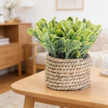 Imagem de Plantas artificiais verdes de 11 cm de tecido de eucalipto em vasos pequenos para decoração de casa (folhas de duban - 7,8 x 11 cm)