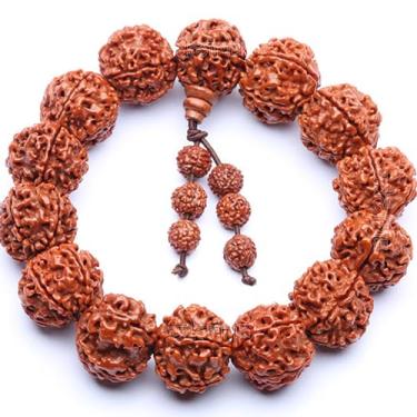 Imagem de EDMIRIA Pulseira Nepali 5 Mukhi Rudraksha para homens, pulseira de cinco faces, adequada para ioga, meditação, cura natural, ajustável, redonda, genuína, do Himalaia, Nepalês, Rudraksha, 20 mm