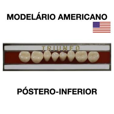 Imagem de Dente Triunfo Posterior Inferior - Triunfo, 34L INFERIOR COR 69
