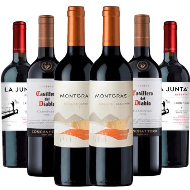 Imagem de Kit 6 Vinhos Carménère