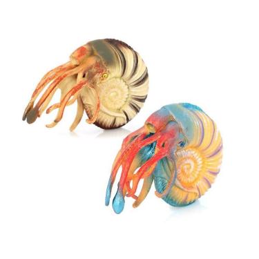 Imagem de Conjunto de bonecos Realistic Nautilus PVC Ocean Creature Kids Toy