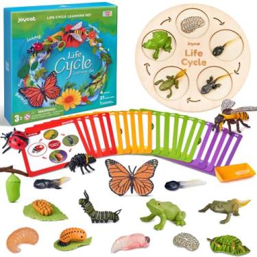 Imagem de Brinquedos educativos de aprendizagem do ciclo de vida JoyCat com anim