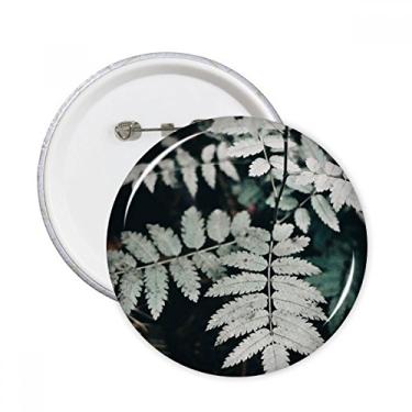 Imagem de Fotografia Folha Planta Imagem Natureza Pinos Redondos Emblema Botão Decoração 5 peças