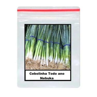 Imagem de Sementes De Cebolinha Todo ano Nebuka 100 unidades - TOPSEED
