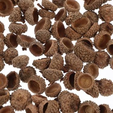 Imagem de ULTECHNOVO 50 peças de bolotas naturais a granel de bolotas rústicas reais para artesanato, Natal, Ação de Graças, pinheiros, cone, ornamento, inverno, Natal, guirlanda, vaso para decoração