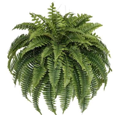 Imagem de Muhanjia Sarça de samambaia artificial de Boston, planta grande suspensa de 122 cm que parece real para decoração de casa ao ar livre, 80 ramos (pacote com 1)