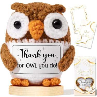 Imagem de Thank You Gifts for Women Emotional Support Crochet Plush, Handmade Funny Owl Crochet w/ Card Employee Appreciation Gifts for Teacher, Christmas Birthday Gift Set for Women Coworkers Nurses Boss Staff
