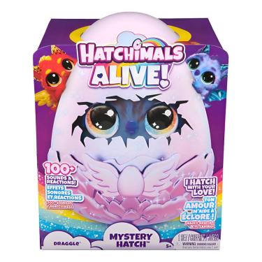 Imagem de Hatchimals Alive Surpresa Dragão Interativo - Sunny Brinquedos