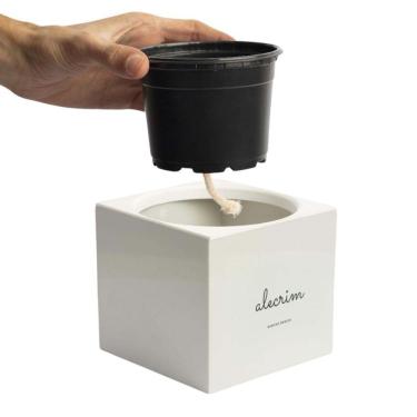 Imagem de Vaso Quadrado Sanchz Autoirrigável Minha Horta Alecrim