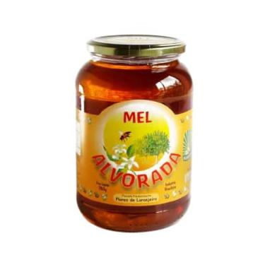 Imagem de Mel de Laranjeira Alvorada 780g