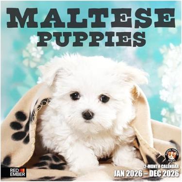 Imagem de RED EMBER Calendário de parede Maltese Puppies 2026 12 meses | Abertura de 30,5 cm x 61 cm | Papel grosso e resistente | Presente | Calendário 2026