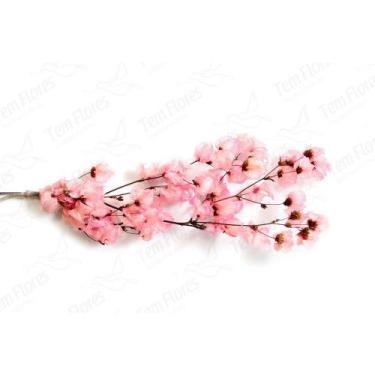 Imagem de Bougainvile Desidratado Buque Flores Secas - Pense Flores, Rosa
